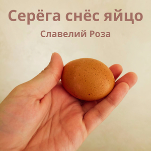 Серёга снёс яйцо