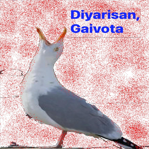 Gaivota