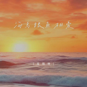 海鸟跟鱼相爱