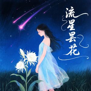 流星昙花
