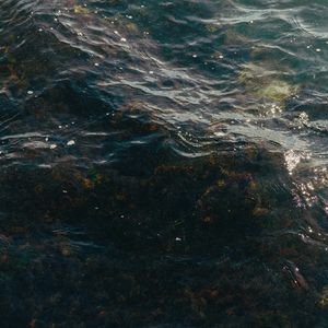 海のおかあさん（オルゴール）「崖の上のポニョ」より