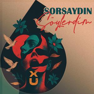 Sorsaydın Söylerdim