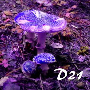D21