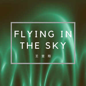 Flying In The Sky (Instrumental Version)