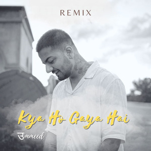 Kya Ho Gaya Hai (Remix)