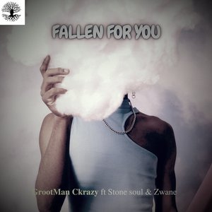 Fallen for You