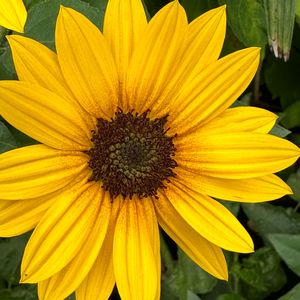 trim.7B00687F-5F34-428E-B2C4-219546987DF3