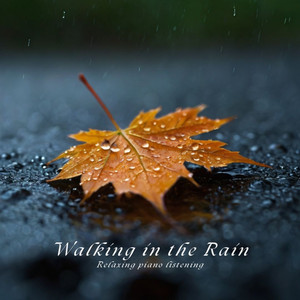 漫步雨中白噪音