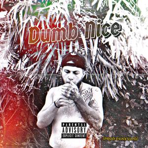 Dumb Nice