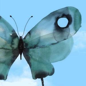 天空与蝴蝶