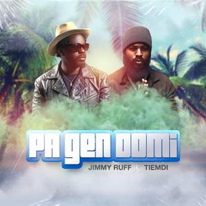 Pa gen domi (feat. Tiemdi)
