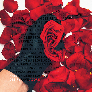 Passion (DJ Emerson Remix)