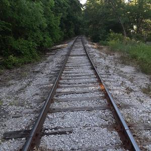 Just Another Shady Railroad