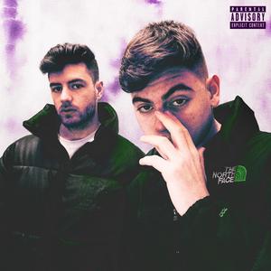 Pingüino Emperador VII