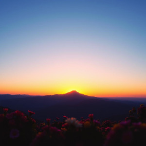 頑張りすぎた 君だからこそ 幸せになる資格がある