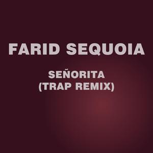 Señorita (Trap Remix)