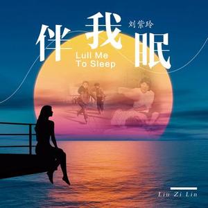 伴我眠 (DJ阿尼版)