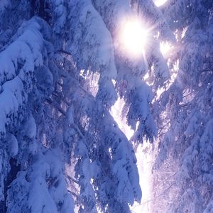 弧光灯衰竭的情欲