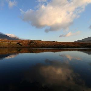 催眠曲5分钟必睡（助眠曲）