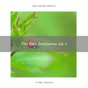 The Perfect Rain, Nature, and Perfect Nights with This Feeling