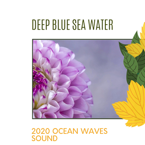 Precious Ocean Waves