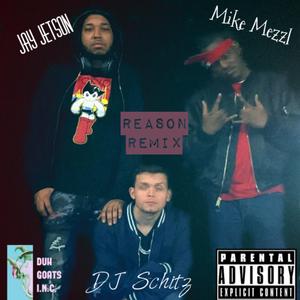 Reason (feat. Jay Jetson & Mike Mezzl) (Remix)