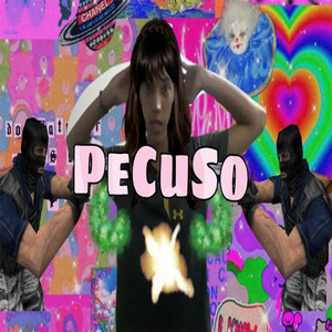 PaCuSo