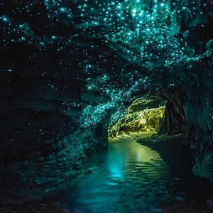 waitomo