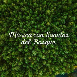 Difuso (TraxLab Version)