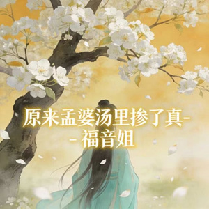 原来孟婆汤里掺了真 (DJ版)