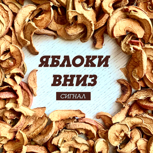 Яблоки вниз