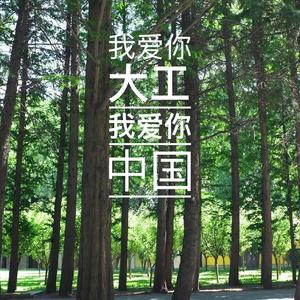 我爱你大工 我爱你中国