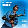 Kurt Wheeler - Hopelessly in Love with You (feat. Darden Purcell)