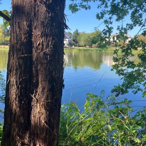 Laker! (feat. potionn)