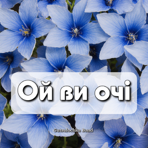 Ой ви очі
