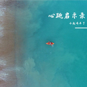 心跳启示录