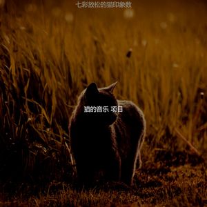 温和放松的猫梦想