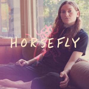 Horsefly