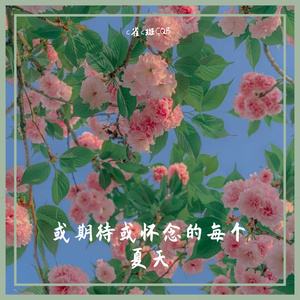 或期待或怀念的每个夏天