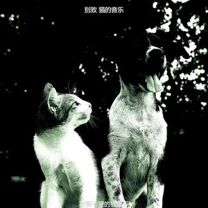 温和可爱的猫梦想