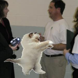 november 20th, 2025, watch it, necromancer (feat. zayok)