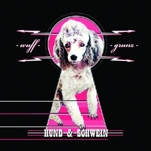 (You Gotta) Fight for Your Right (To Party)