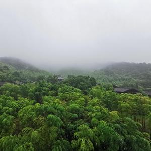 月西江（竹笛版）