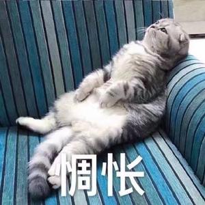 死了都要爱-申玄这个名字已被注册-0