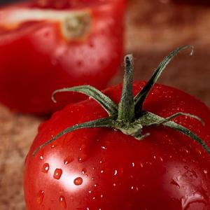 僕の戦争(yee版)