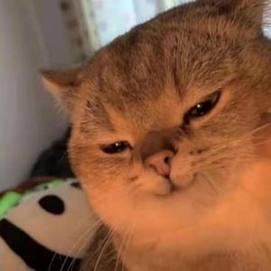 烂烂-Screenrecordeok（烂烂 remix）