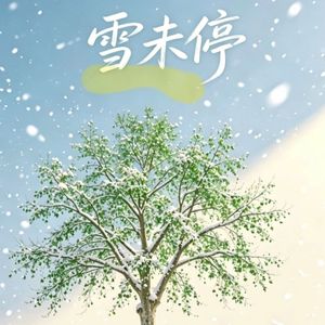 雪未停