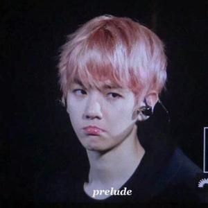 脸红接受处（翻自 Plggy小著）