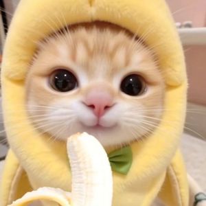 晨曦曙光 hiphop type beat(019)