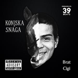 Konjska Snaga